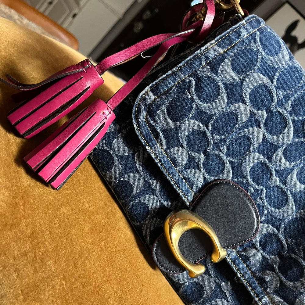 Coach Pink Tassel bag accessory
